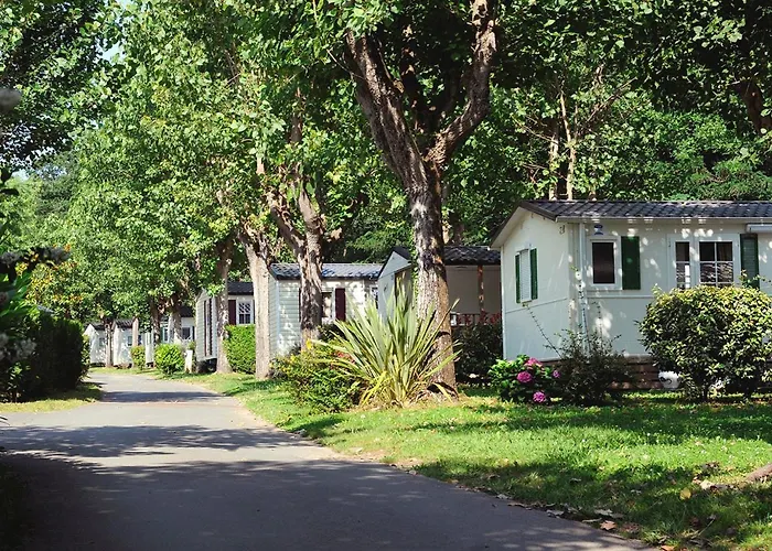 Camping Zelaia